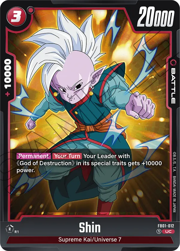 FB01-012 Shin