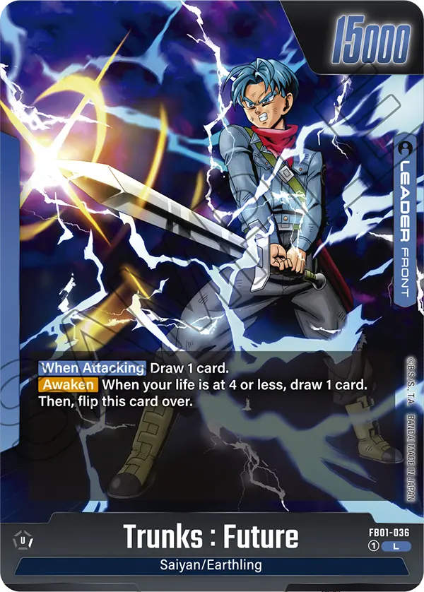 FB01-036 Trunks : Future